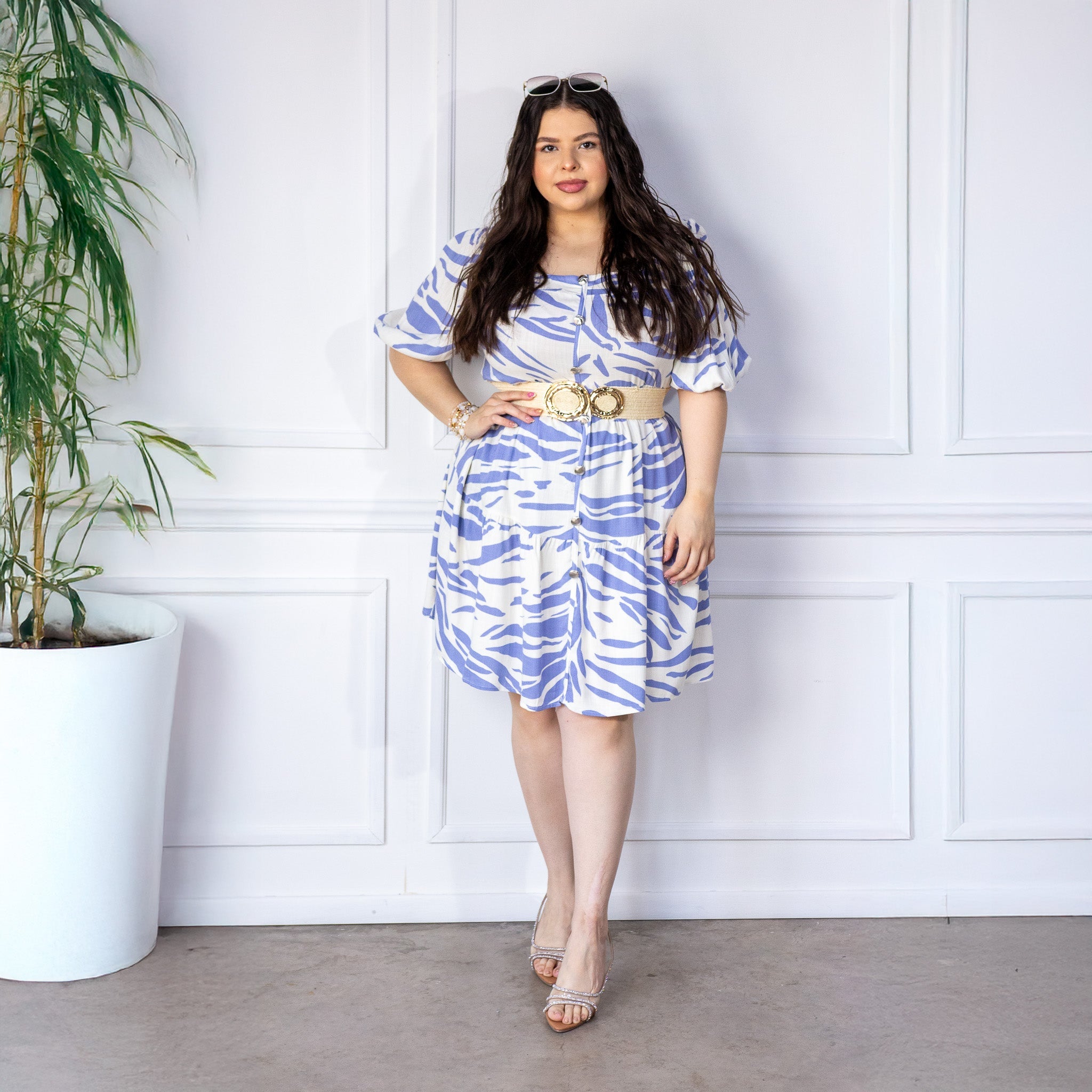 Vestidos Curvy Elegantes y Modernos