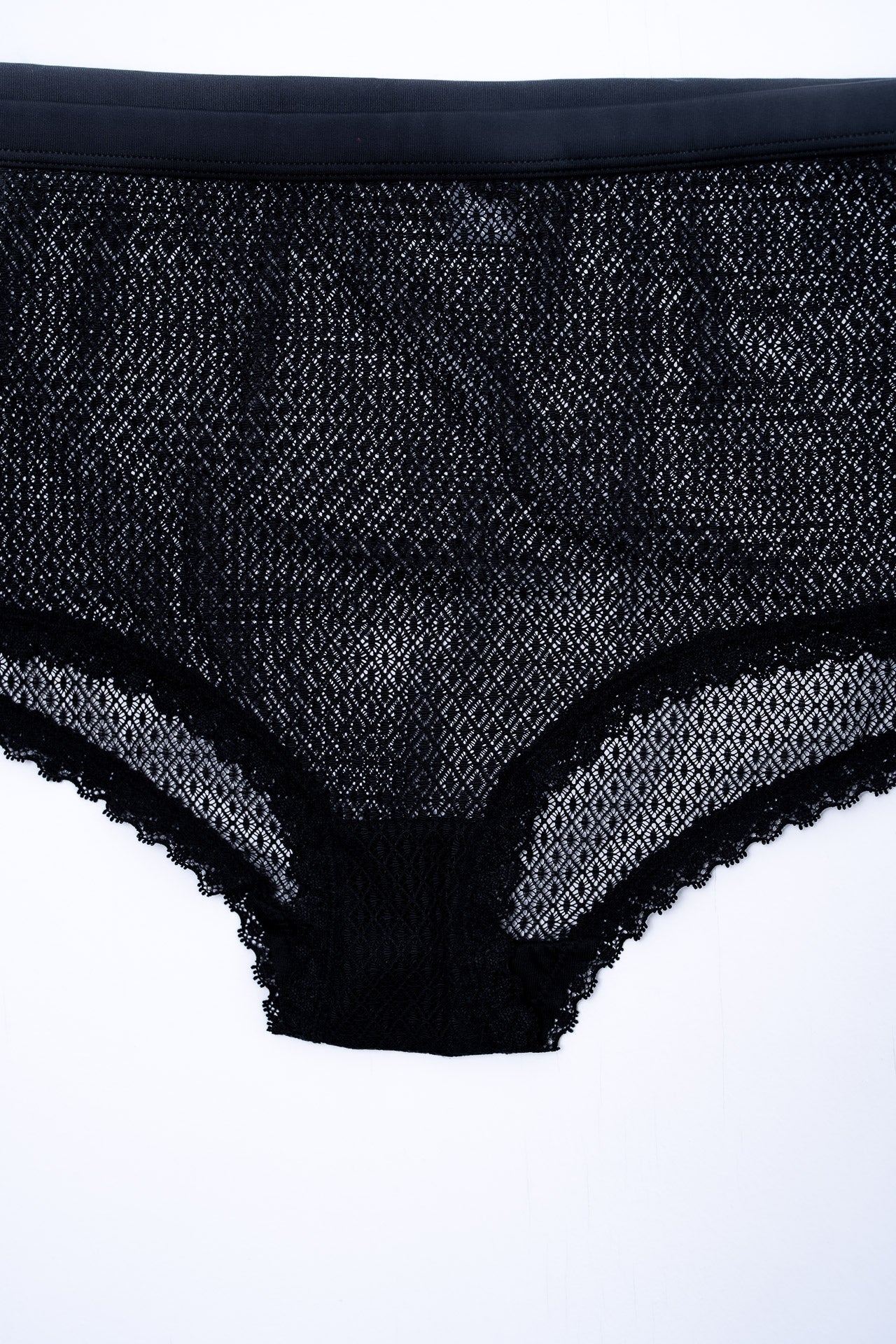 Curvy Lace Panty